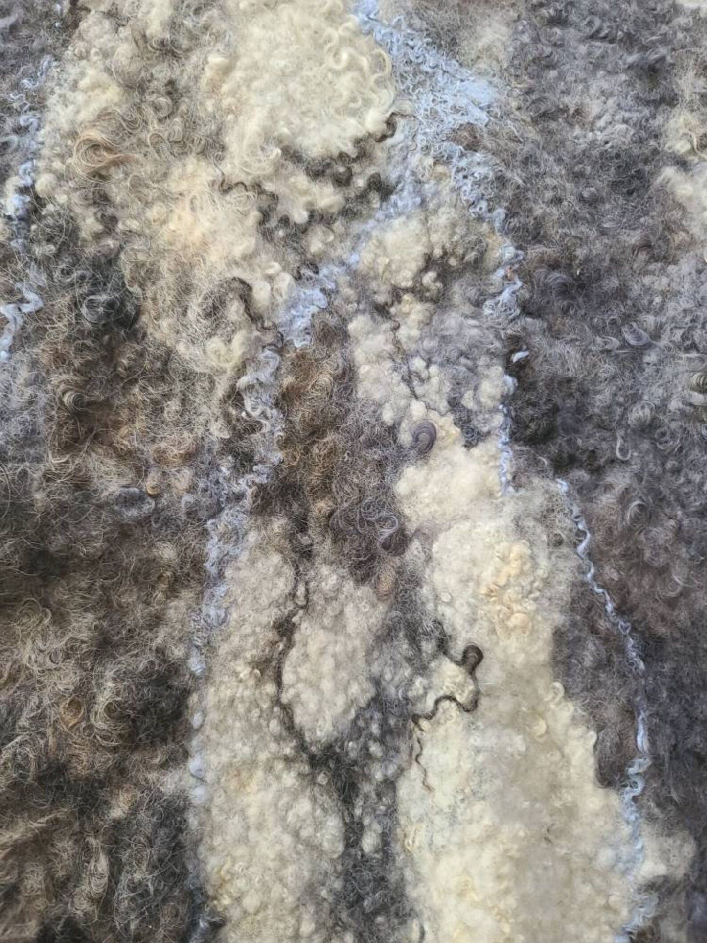 Wool & Silk Winter Vest